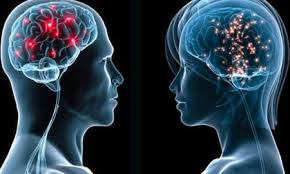 I grandi temi dell’ipnosi regressiva evocativa. Conosci le differenze del cervello maschile e femminile?